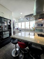 The Horizon (D10), Condominium #472177051